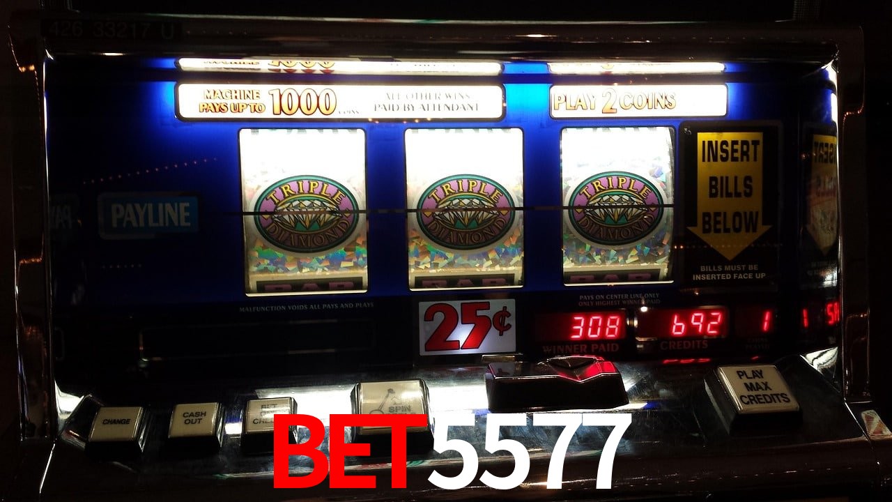 Sports Statistics Bet5577